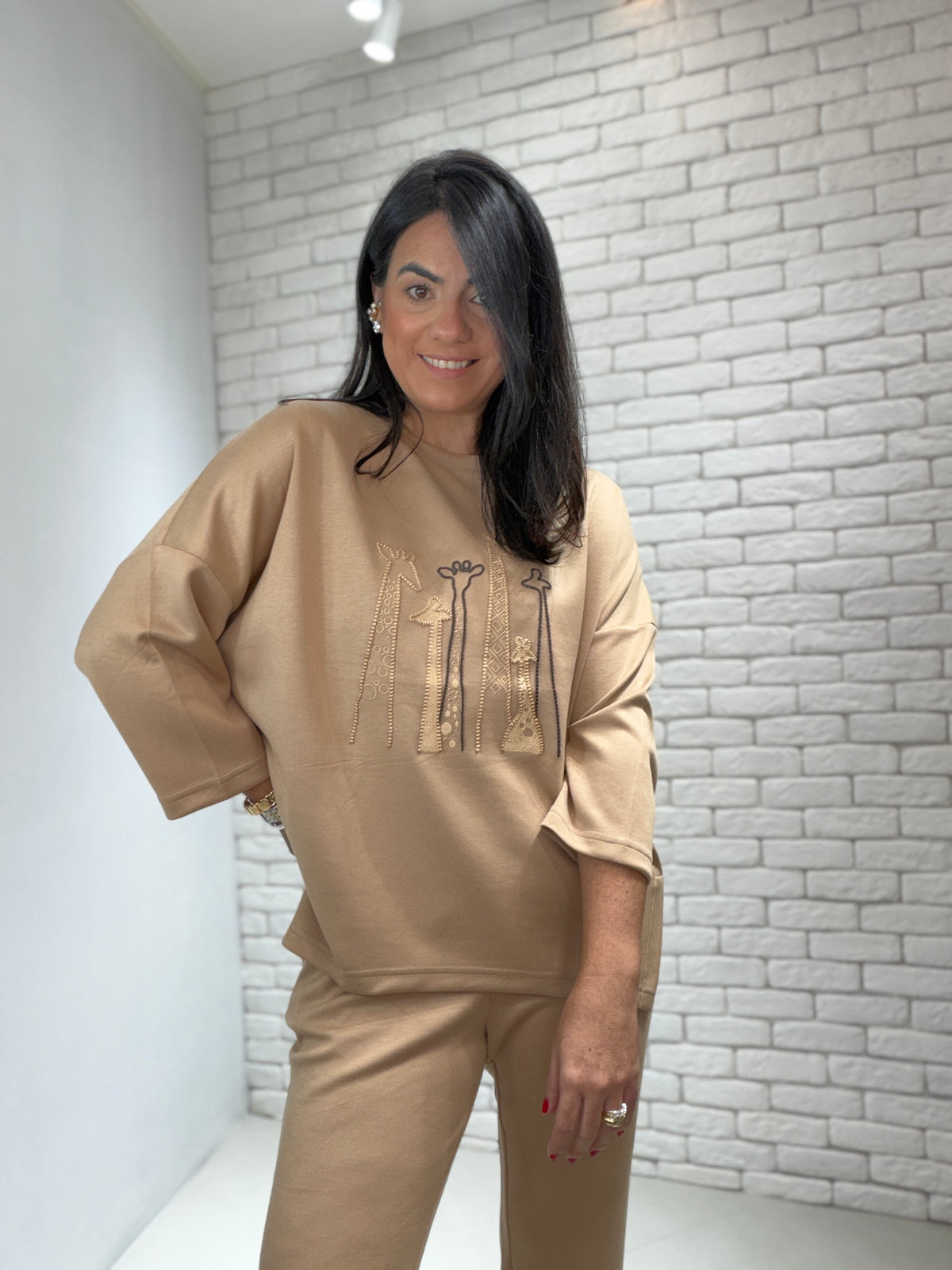 Conjunto Noemi