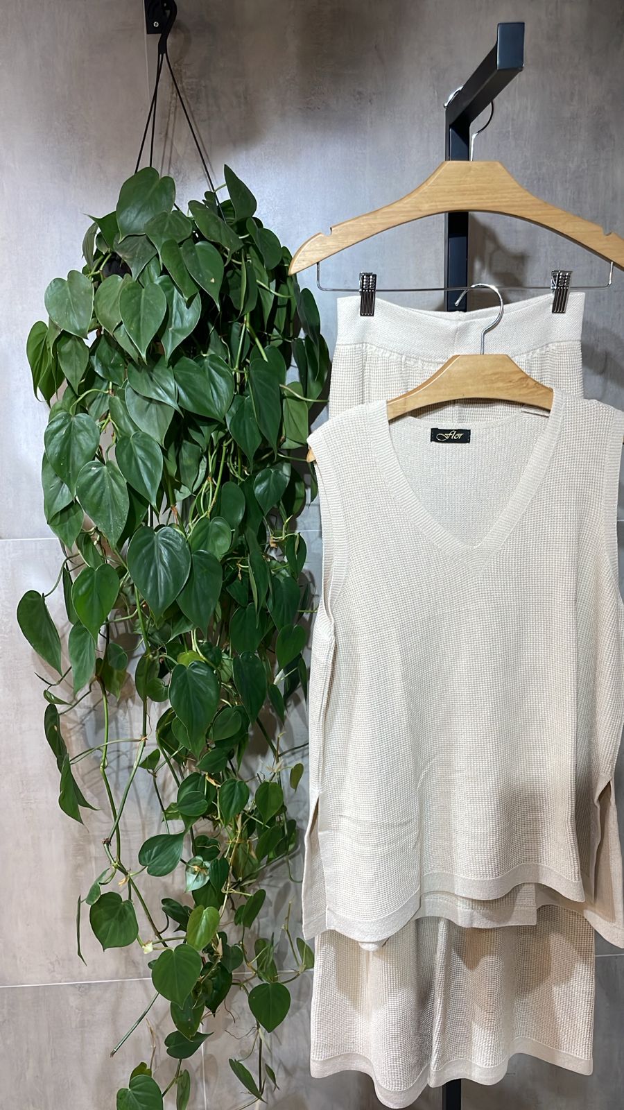 Conjunto Clara